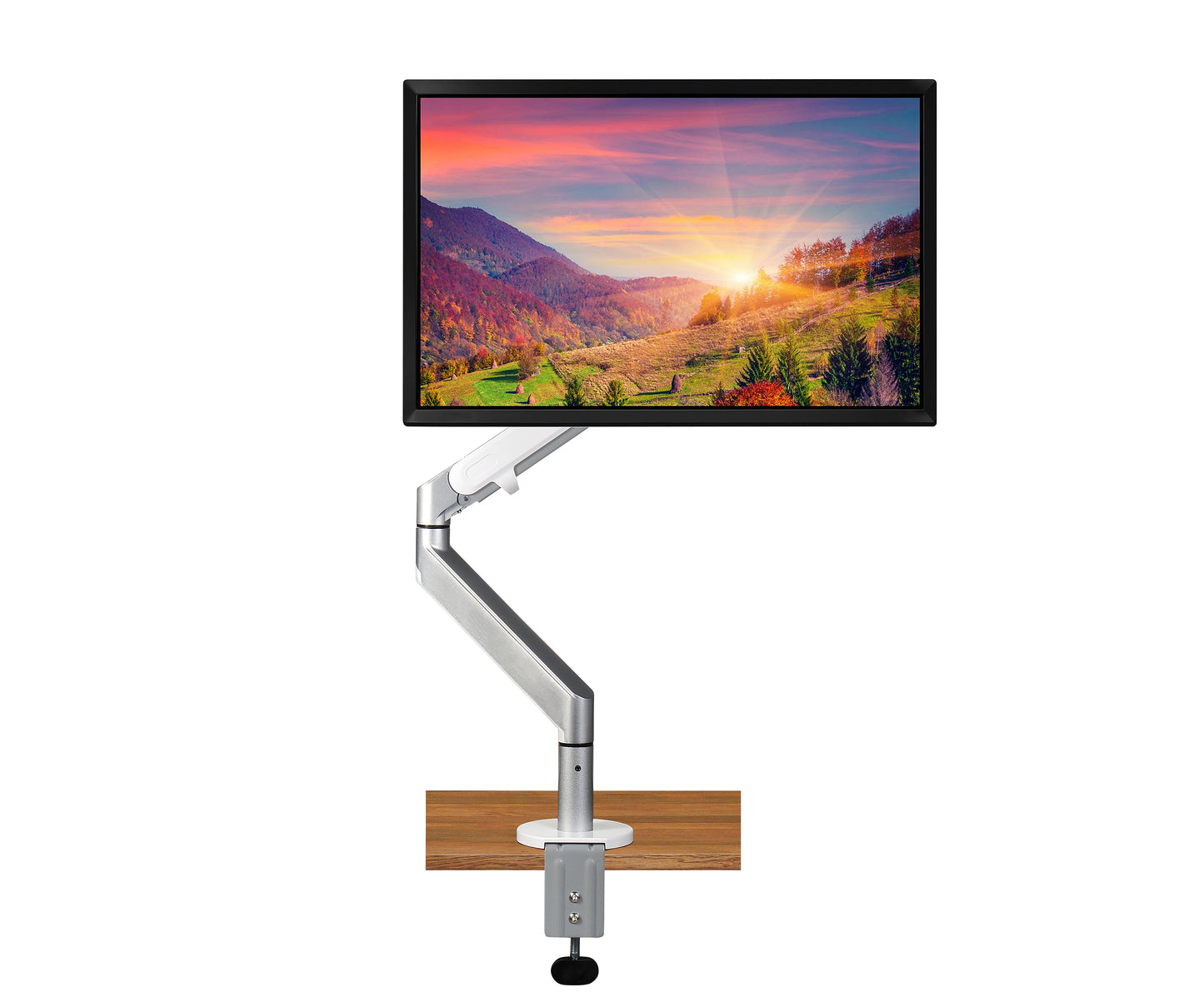 SINGLE MONITOR ARM II / SPUGOZ-1S